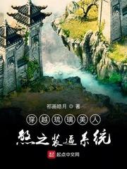 穿越之妃要当家封面