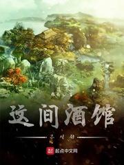 谍途封面
