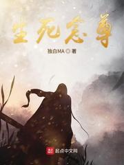 精灵掌门人封面