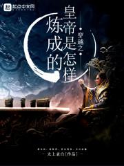 昭昭若揭by陈西米txt笔趣阁封面