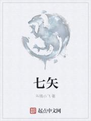 唐砖封面