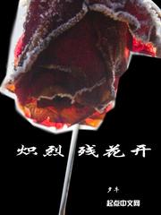 觅苍天封面