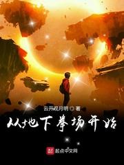 萧婵陈婕妤封面
