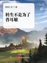 哑炮是什么炮封面