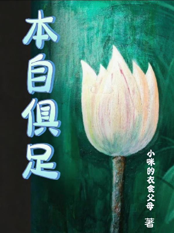 永生锁封面