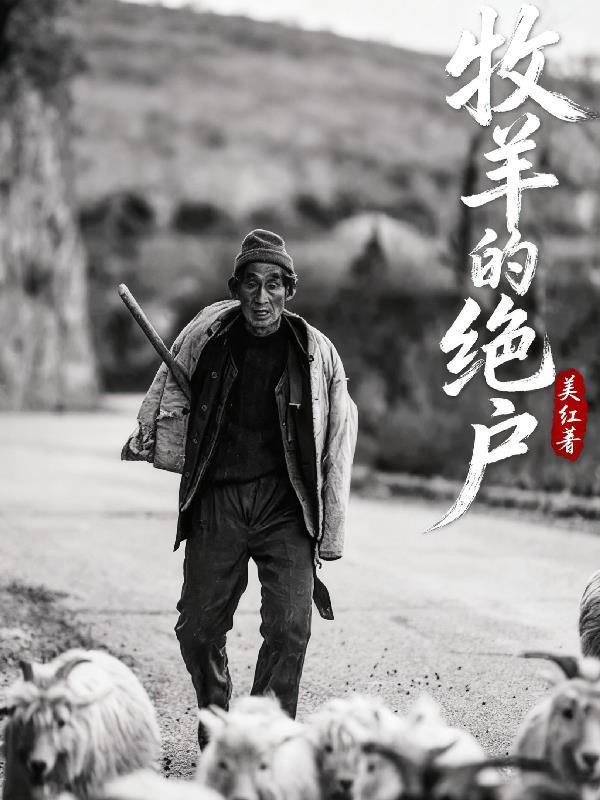 天穹之机封面