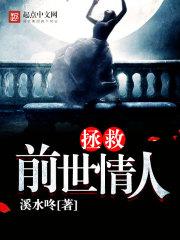 流量型前锋，复兴慕尼黑1860封面