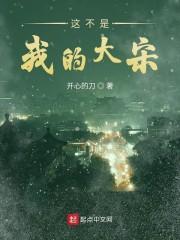 暗黑苍穹之翼外观封面
