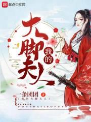 半身风雨半身伤封面