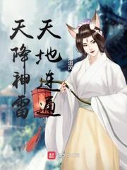 迪克的人生封面