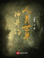 重生之精灵游侠封面
