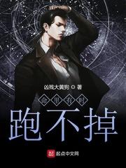 死神代言人之死亡骑士封面