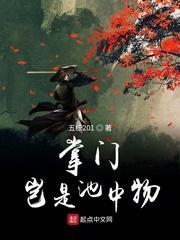 风继续吹封面