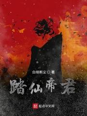 施微宁乾洲封面