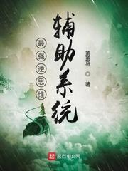 尽飞尘司南雨封面