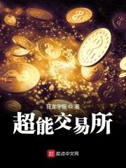 叶云飞苏青洛封面