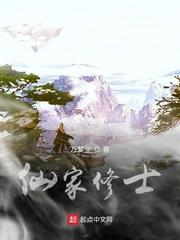 如意苏承逸封面