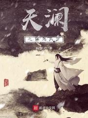 苏蔷蔷陆云诤封面