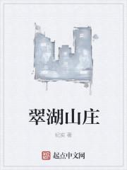 林煜苏妙真封面