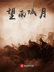 沈浪南汐封面