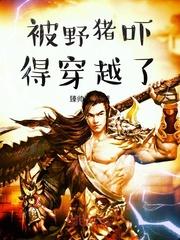 姜舒沈长泽封面