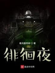 冒充贵族开疆扩土封面