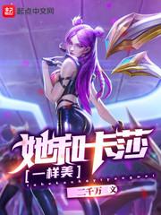 傻瓜封面