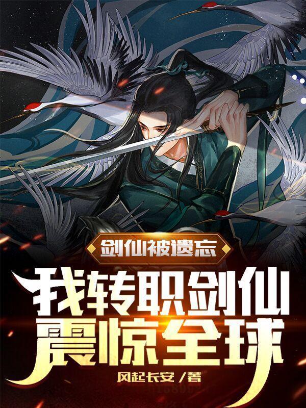 没有人比我更懂华娱！封面