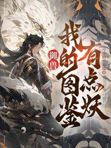 情满四合院中的四合院布局封面