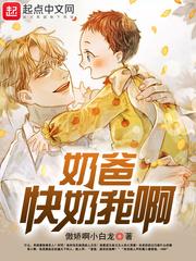 明贼封面
