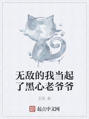 公主，恋爱吗封面