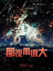 那夜雨很大