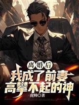缔造美利坚我竞选经理是罗斯福完结免费封面