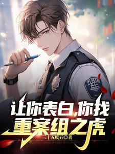重启大明风华封面