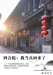 极品王爷赵豫传封面