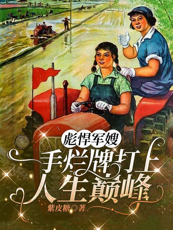 朱棣 俺封面