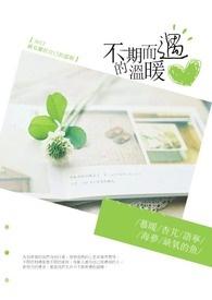 杀死我的正义歌词封面