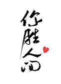 禅院家主封面