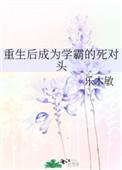 直男遇上婊封面