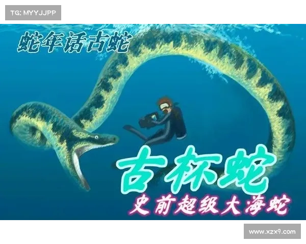 踏上探索古老世界神秘生物与远古力量的奇幻冒险旅程 踏上探索古老世界神秘生物与远古力量的奇幻冒险旅程
