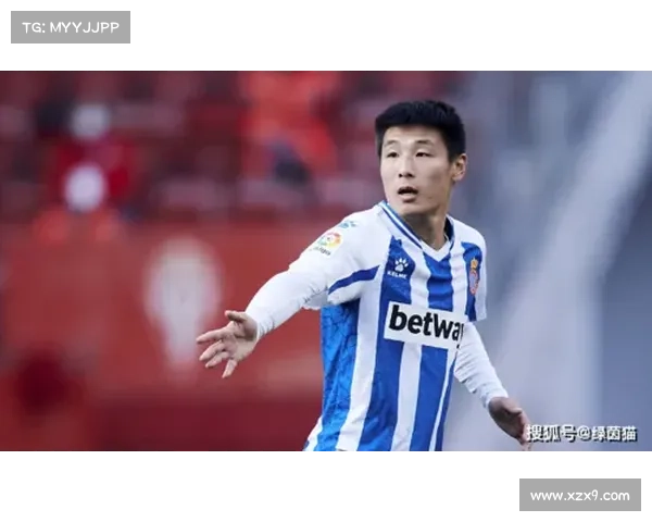 全面探讨武磊职业生涯多项纪录与其时代影响力的综合深度分析研究